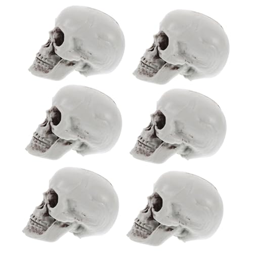 Calaveras de Halloween RLKHXBS pack de 6 esqueletos realistas decorativos para fiestas
