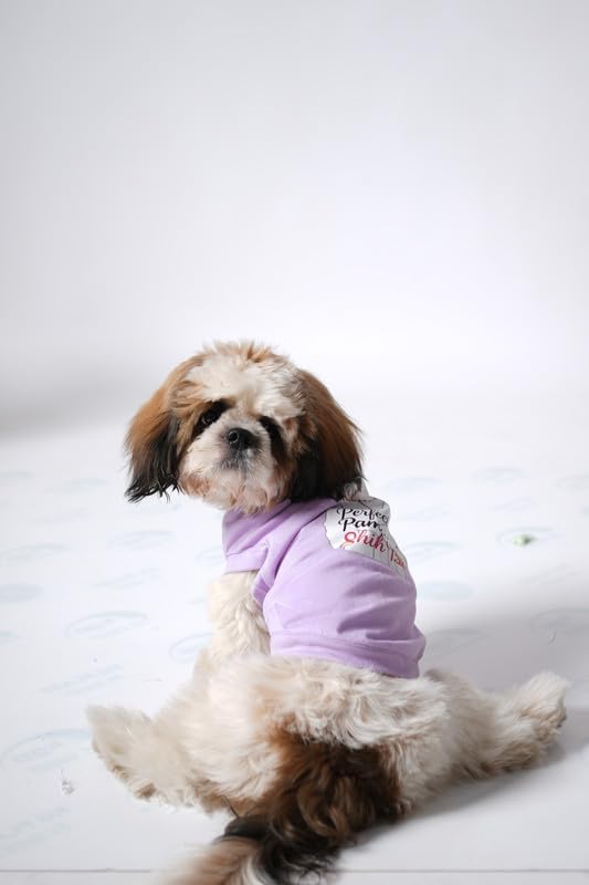 Image of Thunder Tails Premium Cotton Dog T-Shirt | Adjustable Neck | for Small Dogs | Lilac | Medium | for Shih tzu