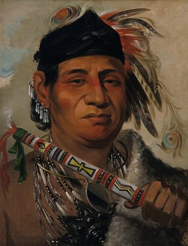 Lienzo de animal oso grizzly jefe de la tribu George Catlin, cuadro para decoración 60x90cm