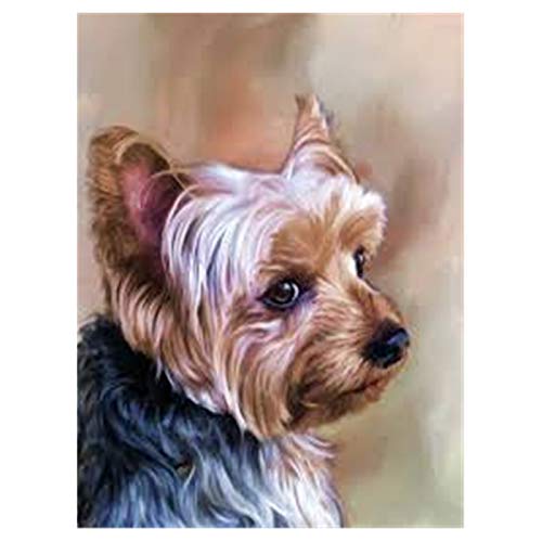 LIPHISFUN DIY 5D Diamond Painting by Number Kit for Adult, Full Round Resin Beads Drill Diamond Embroidery Dotz Kit Home Wall Decor,30x40cm,Yorkshire Terrier