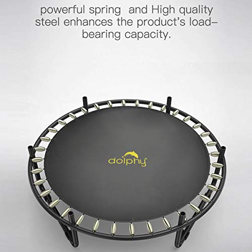 Image of Dolphy 60 Inch Trampoline for Kids with Safety Net and Steel Foam U Handle| Indoor & Outdoor | Powerful Loading Capacity - 100KG | Stainless Steel Frame & Legs for Home, School
