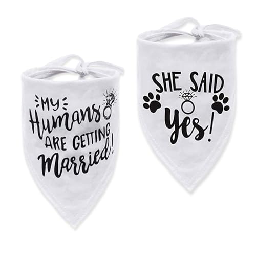 XNIVUIS 2 Piezas Bandanas de Perros, Pañuelo para Perros Bandana para Mascotas, Ajustable Dog Collar, Lavable y Duradero, para Bodas, Fotografía (Blanco)