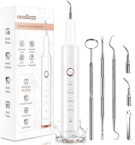 Plaque Remover for Teeth, Electric Tooth Cleaner Tartar Remover for Teeth with LED Light,4 Modes Rechargeable Teeth Cleaning Kit with Dental Tools, 2 Replaceable Heads