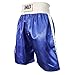 Fearless Classic Satin Pro-Style Boxing Trunks, Premium Lightweight Fight Shorts for Training, Sparring, and Gym Wear, Blue/White, Large