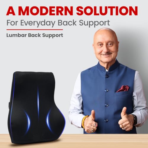 Image of AGEasy (Max Group Lumbar Back Support | Orthopedic Lumbar Support for Back Pain Relief | High Density Memory Foam (Black)