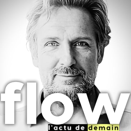 #13 - C&eacute;dric Ringenbach - La Fresque du Climat