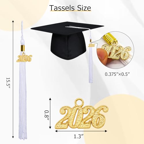 Image of GraduationMall Single&Multiple Color Graduation Tassel with 2026 Year Charm 9 inch