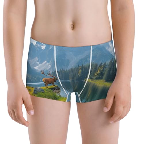 Boys' Cotton Boxer Brief Soft Underwear-Majestic Deer Mountain Lake