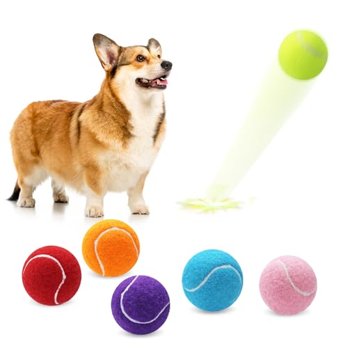 Magicorange 6 Pack Small Tennis Balls 2 inch Tennis Balls for Dogs Colorful Easy Catching Pet Playing Ball (Multicolor 6 Pack)
