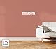 I LOVE CHALK PAINT farbe Terrakotta 375 ml - Kreidefarbe für möbel, wände und gegenstände ohne schleifen - Lösungsmittelfrei und formaldehydfrei - Wasserbasierte dekorationsfarbe mit kreideeffekt