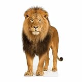 Lion 4FT Life Size Cardboard Cutout – A Fun Animal Standup for Photo Booths, Birthday Parties, and Events