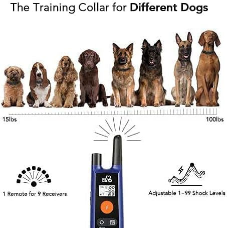 DOG CARE Training Collar Reach up to 3300 ft with this waterproof, rechargeable remote collar.