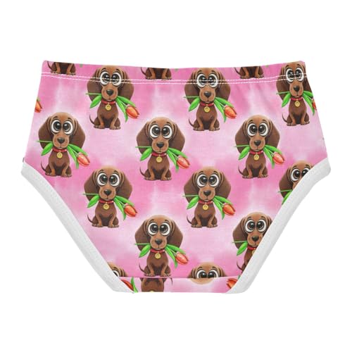 Toddler Girls Underwear 2t Cotton Little Girl Panties Stylish Kids Undies Briefs Cute Dachshunds Pink Animal2