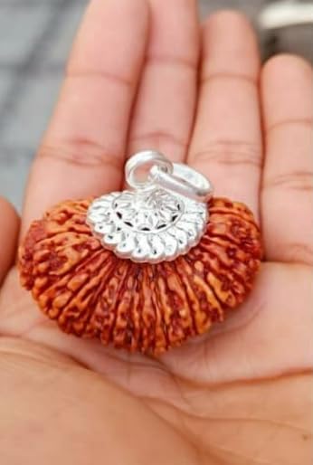 AAA+++ Quality 19 Mukhi Rudraksha Nepali Bead Ninteen Face Rudraksh Original Certified in Silver Cap A1 Quality 19 Mugam Rudraksh Unnis Mukhi Rudraksh for Wearing 19 मुखी रुद्राक्ष ओरिजिनल