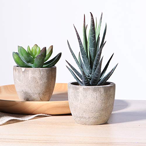 PRETYZOOM Plantas artificiais suculentas com vasos, flores artificiais, cacto, plantas suculentas, d