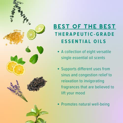 Moxē Nasal Inhalers Bundle, 8 Essential Oils, 100% Pure And Undiluted, Therapeutic Grade, No-Mess Portable Aromatherapy, Includes Eucalyptus, Peppermint, Lavender, Tea Tree, Made In Usa (Pack Of 8) #TOP3