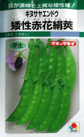 ^LCc ԉԂȂLkTGhE␫ԉԌ ؎H܂GF/18ml