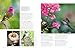 Birds & Blooms Ultimate Guide to Hummingbirds: Discover the wonders of one of nature's most magical creatures (Birds & Blooms Guide)
