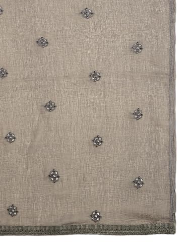Image of DUPATTA BAZAAR Women's Embroidered Chiffon Dupatta with Delicate Sequins