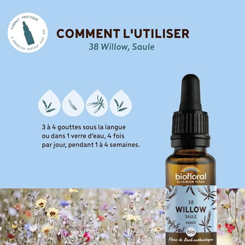 Biofloral Willow 38 Fleur de Bach Elixir Floral du docteur Bach Saule en Compte-Gouttes Courage et Espoir 20 ml – vue 4
