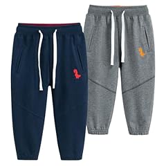 Dark Blue&dark Gray Dinosaur