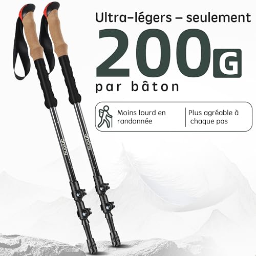 Bâtons de randonnée en carbone réglables pour sécuriser vos appuis - 2