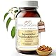 Japanischer-Staudenknoterich Tabletten 600mg | 70 Tabletten Polygonum cuspidatum | Top Premium Qualität aus Österreich | Vegane Tabletten statt Kapseln ohne Zusatzstoffe | Fallopia japonica, Huzhang