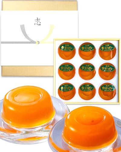 長崎心泉堂 香典返し ギフト お菓子 のし付き 志 びわゼリー 9個 熨斗 法事 お返し 返礼品 四十九日 TO1F 黄白 のし