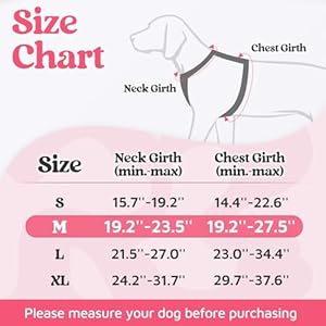 rabbitgoo-Dog-Harness-Medium-Sized-No-Pull-Dog-Vest-Harness-with-3-Buckles-Adjustable-Soft-Padded-Pet-Harness-with-Easy-Control-Handle-and-Reflective-Strips-Pink-M - Cucciolini Doodles   rabbitgoo-Dog-Harness-Medium-Sized-No-Pull-Dog-Vest-Harness-with-3-Buckles-Adjustable-Soft-Padded-Pet-Harness-with-Easy-Control-Handle-and-Reflective-Strips-Pink-M