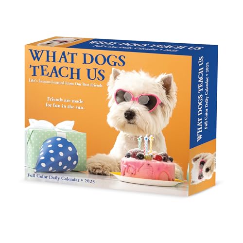 Calendario de caja What Dogs Teach Us 2025 de 6.2 x 5.4 pulgadas