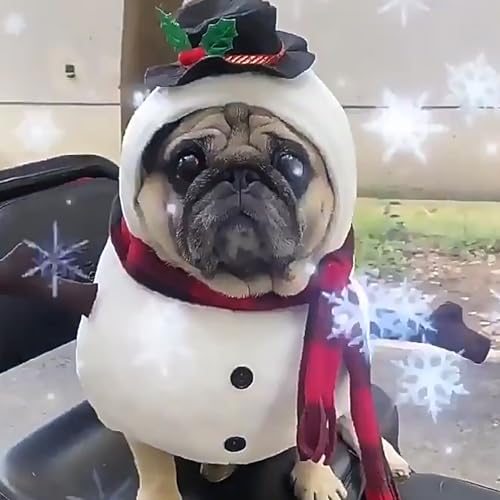 Disfraz de Muñeco de Nieve para Perro Talla M miniatura 3