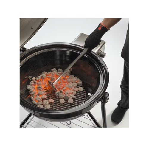Charbon De Bois Weber - 214229