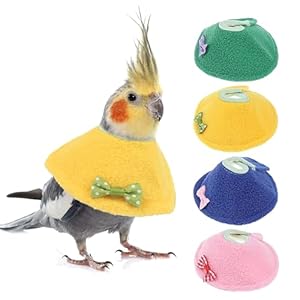 QBLEEV 4Pack Pet Parrot Anti-bite E-Collars, Anti-Grab Feather Plucking Wound Healing Safety Elizabethan Collar, Protective Recovery Cones for Budgerigar Lovebird Agapornis Fischer Cockatiel Cockatoo