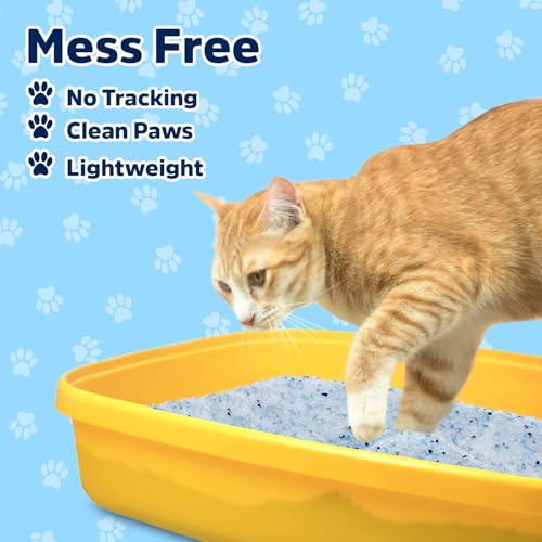 Taktick FCCATLIT001 Crystal Cat Litter, Superior Cat Litter Crystals thumb #5