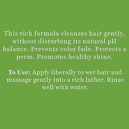 Image of Biotique Bio Soya Protein Fresh Nourishing Shampoo (340ml)