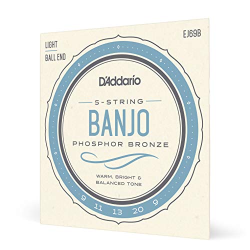 D'Addario Banjo Strings, Phosphor Bronze, EJ69B, Light Gauge 9-20, 5-String Set, Pack of 1