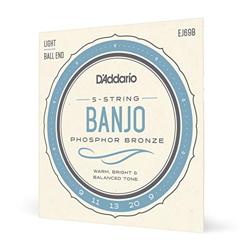 D'Addario EJ69B Phosphor Bronze 5-String Ball-End Banjo Strings, Light, 9-20