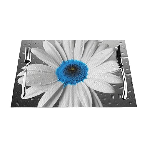 Sets de table antidérapants lavables contre taches et brûlures