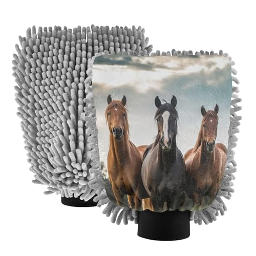 Flradish 2 Pack Thought Horse Car Wash Mitt Chenille Microfiber Lint-Free Scratch Free Ultra-Soft Absorbent Car Wash Mitt 11.8x8.07 Inch