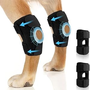 RC GearPro 2 Pack Dog Joint Brace Rear Leg Canine Hock Support – Dog Elbow Brace Compression Wrap Straps for ACL CCL Joint Injury and Sprain Protection, Healing and Loss of Stability (M)