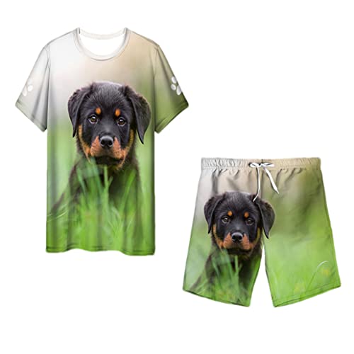 T-shirt d'été 3D chien pour homme l'ensemble short de sport