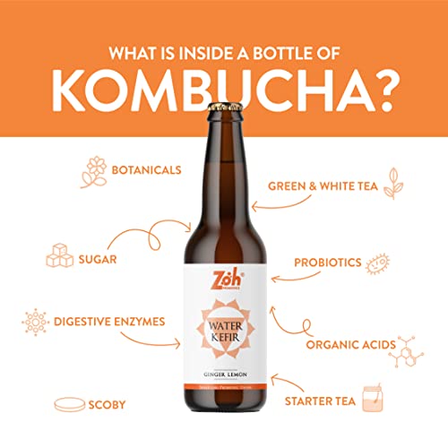 Image of Zoh Probiotics Ginger Lemon Water Kefir | Tea with Living Probiotics, detoxifying acids, and digestive enzymes. Raw, unfiltered, and unpasteurized with Mother. Made with Organic Ginger Lemon, Amla & Tulsi (330 ml, Pack of 6)