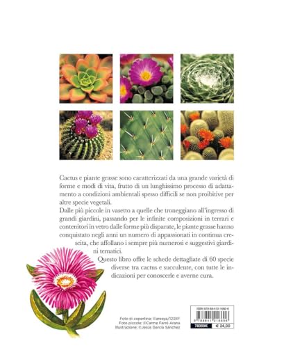 Il Grande Libro Dei Cactus E Delle Piante Grasse - 2