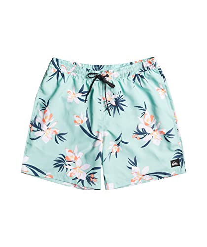 Quiksilver Men's Standard Everyday Mix 17 Volley Swim Trunk Boardshort