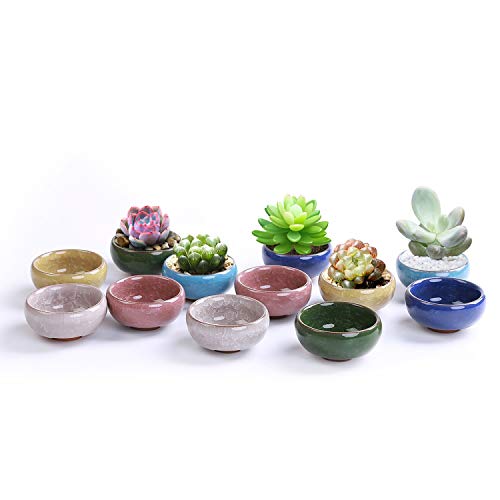 JMINTG 2.5 Inch Ceramic Ice Crack Zisha Serial Succulent Plant Pot Cactus Plant Pot Flower Pot Container Planter Full Colors Package 1 Pack of 12