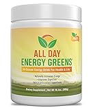 IVL Hi-Octane All Day Healthy Energy Greens Powder, 30 Servings per Canister, Fruity Flavor