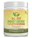 Institute for Vibrant Living All Day Energy Greens® Fruit Flavor Hi-Octane Energy Drink For Health & Life Great Fruity Taste - 10.5 oz