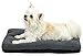 ZOLLNER Cama para Perros pequeños y Gatos, cojín Mascotas, 36x58 cm, Lavable
