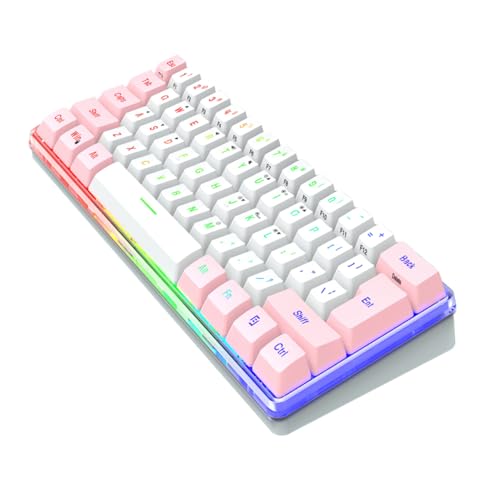 GAROZATION L[Q[L[{[h ŉKȑŌ fXNgbv m[g