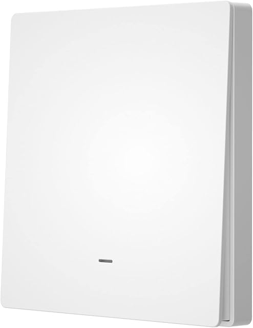 Woolley Wireless Wall Light Switch, Smart Wall Switch, APP Remote Control Wall Light Switch, RF 433MHz Remote Control Wall Light Switch -1 Gang